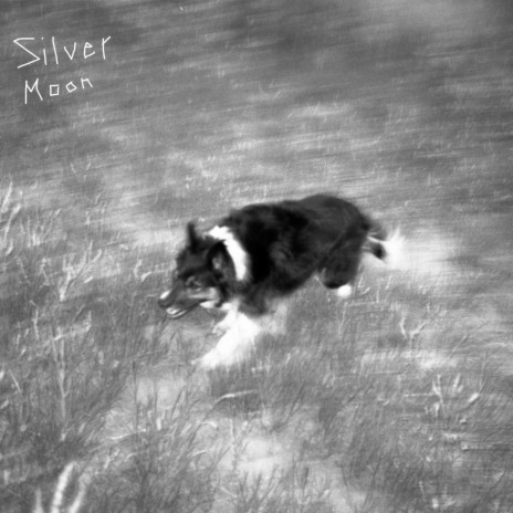 Silver Moon | Boomplay Music
