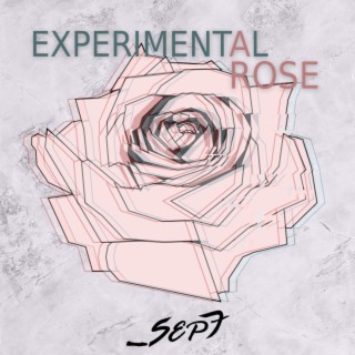 Experimental Rose