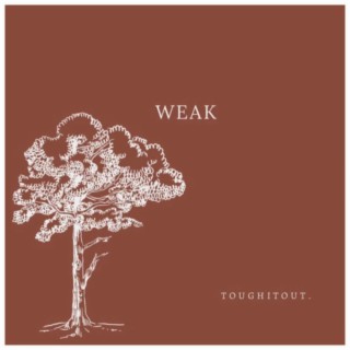 Weak ft. wilmyboy lyrics | Boomplay Music