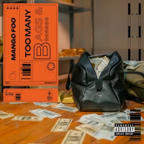 Too Many Bags | Boomplay Music