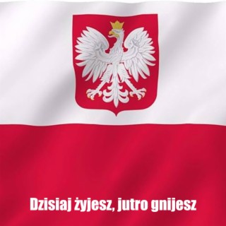 Dzisiaj żyjesz, jutro gnijesz (Dagmara Kaźmierska)