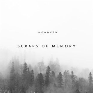 Scraps of Memory