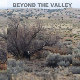 Beyond the Valley