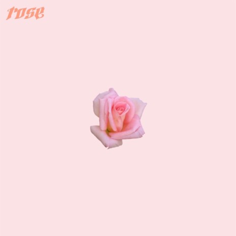 rose | Boomplay Music