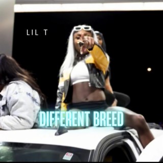 Different Breed lyrics | Boomplay Music