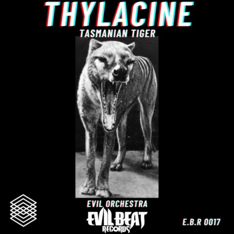 Thylacine Tasmanian Tiger | Boomplay Music