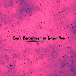 Can't Remember to Forget You (Sped Up)