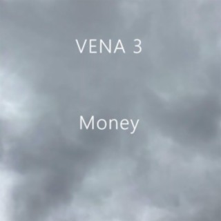 VENA 3