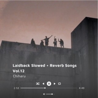 Laidback Slowed + Reverb Songs Vol.12