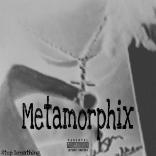 The metamorphix