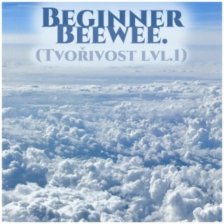 Beginner