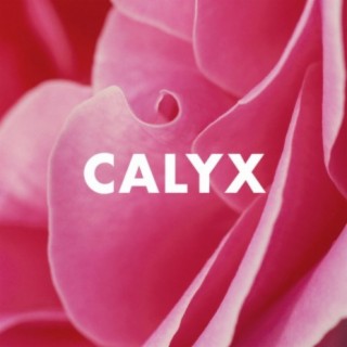 Calyx