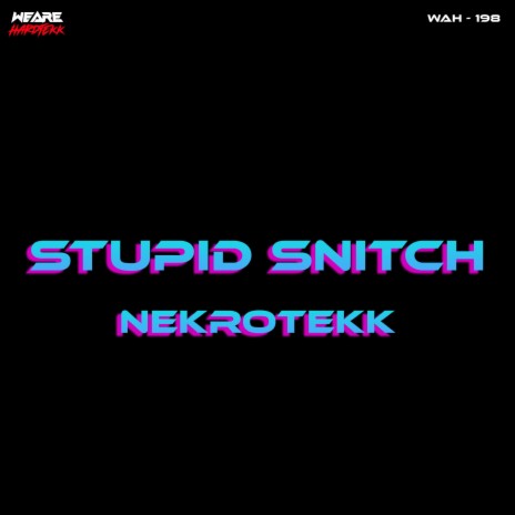 Stupid Snitch | Boomplay Music