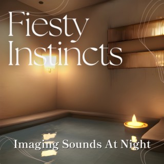 Imaging Sounds at Night