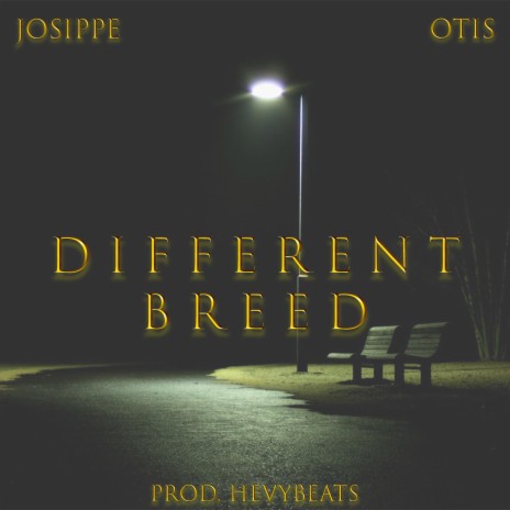 Different Breed ft. Hevybeats & Josippe