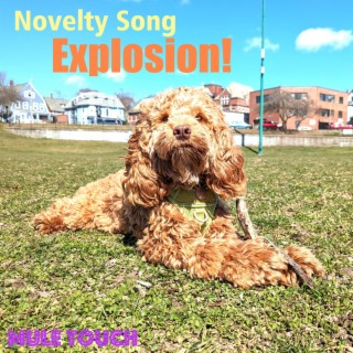 Novelty Song Explosion!