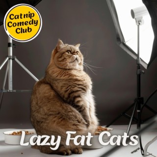 Lazy Fat Cats