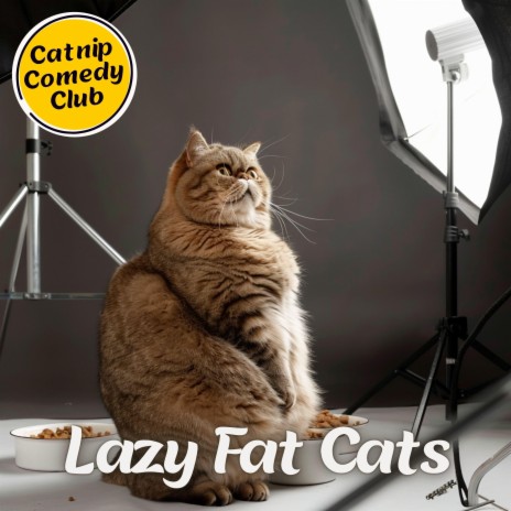 Lazy Fat Cats | Boomplay Music