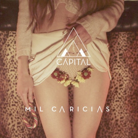 Mil Caricias ft. David Summers | Boomplay Music