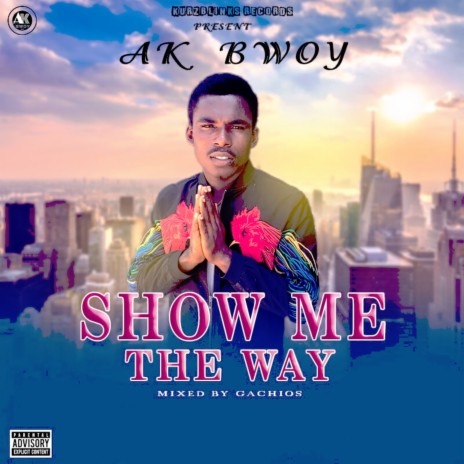 Show Me the Way | Boomplay Music