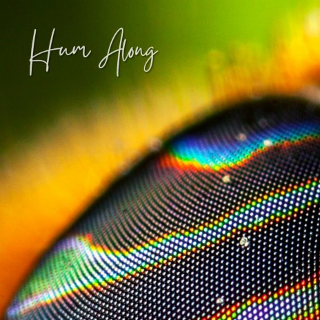 Hum Along | Boomplay Music
