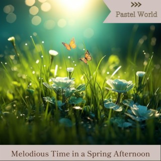 Melodious Time in a Spring Afternoon