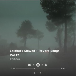 Laidback Slowed + Reverb Songs Vol.17