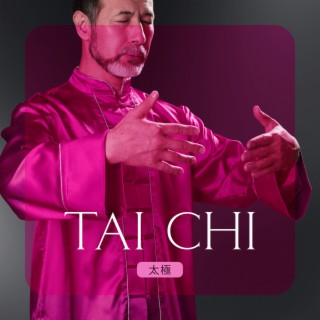 Tai Chi 太極 - Yin & Yang Balancing Healing Chinese Music For Beginners