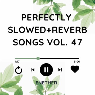 Perfectly Slowed+Reverb Songs Vol. 47