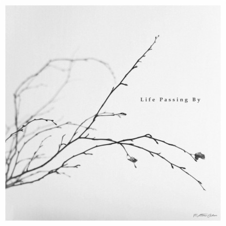 Life Passing By | Boomplay Music