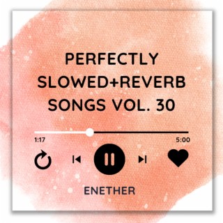 Perfectly Slowed+Reverb Songs Vol. 30