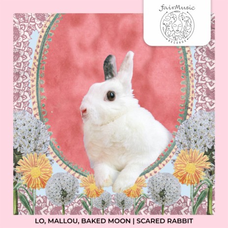 Scared Rabbit ft. Mallou & Baked Moon | Boomplay Music