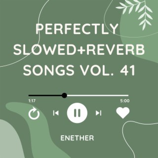 Perfectly Slowed+Reverb Songs Vol. 41