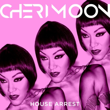 House Arrest (Bassmonkeys Mix)