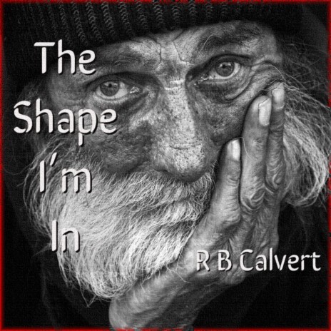 The Shape I'm In | Boomplay Music