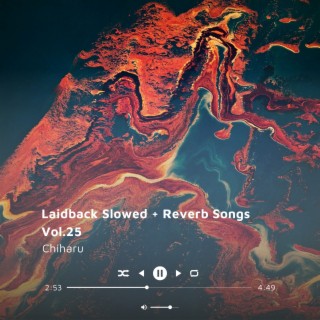 Laidback Slowed + Reverb Songs Vol.25