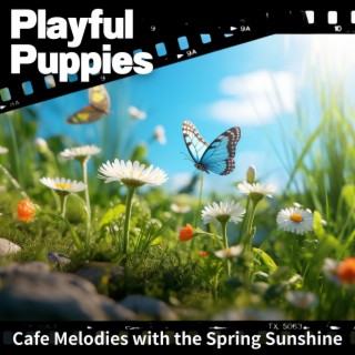 Cafe Melodies with the Spring Sunshine