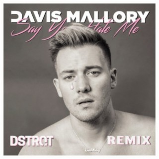 Say You Hate Me (DSTRQT Remixes)