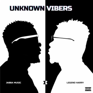 Unknown Vibers