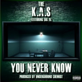 You Never Know (feat. Big Al)