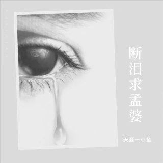 断泪求孟婆（小鱼版） lyrics | Boomplay Music