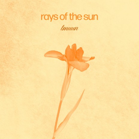 Rays of the Sun | Boomplay Music