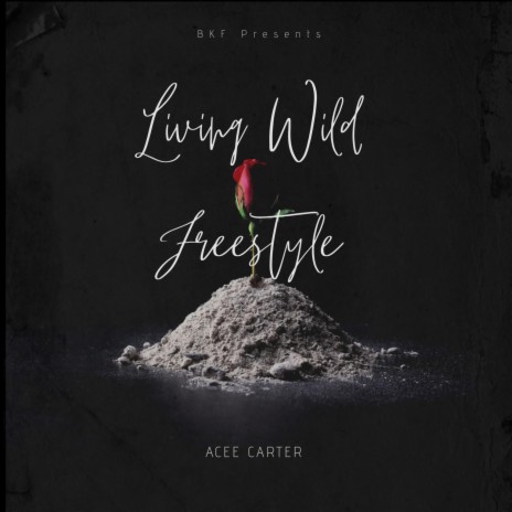 Living Wild Freestlye | Boomplay Music