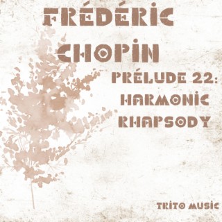 Prélude22: Harmonic Rhapsody