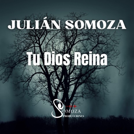 Tu Dios reina | Boomplay Music