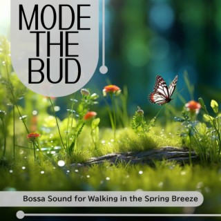 Bossa Sound for Walking in the Spring Breeze