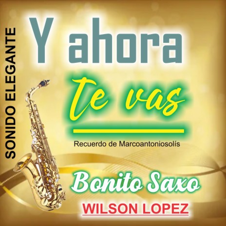 Y Ahora Te Vas/Recuerdo de Marco Antonio Solís/Sonido Elegante | Boomplay Music