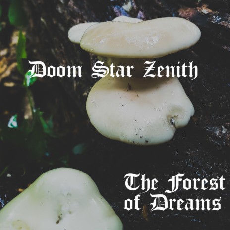 The Forest of Dreams | Boomplay Music