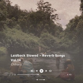 Laidback Slowed + Reverb Songs Vol.14