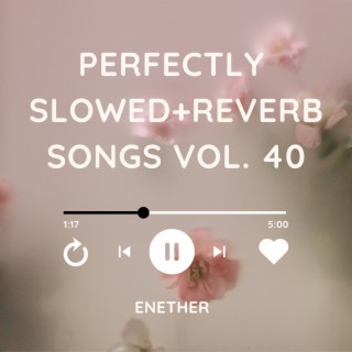 Perfectly Slowed+Reverb Songs Vol. 40